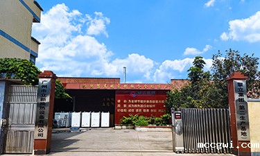 擎立照片
